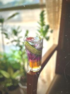 نوشین دُخت